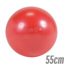 【淡野製作所】ギムニクカラーボールPLUSレッド<Φ55cm>エクササイズ