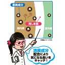 【消臭袋】防臭袋策　消しま臭（650×800mm）　10枚【2個まで送料220円】【ジャパックス】 3