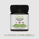 ネイティブツリーはちみつ 250g