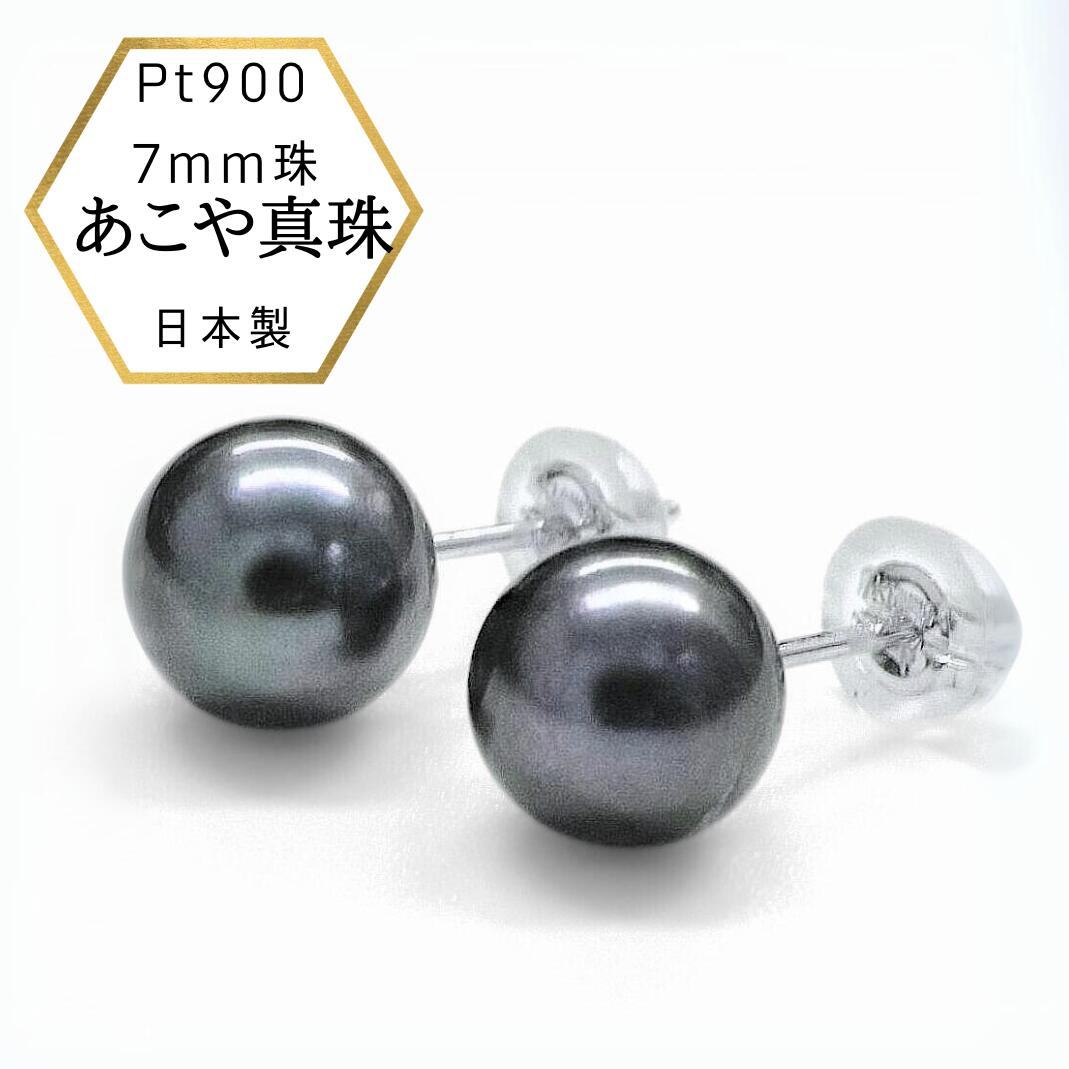 pap015.jpg pap015.jpg
