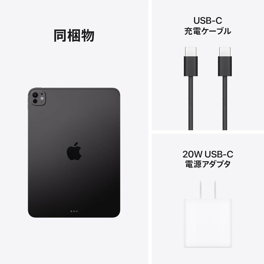 新品未開封 2025年秋モデル Apple iPad Pro 11インチ(M5) 256GB Wi-Fi MDWK4J/A スペースブラック 本体　日本国内正規品　あす楽　送料無料