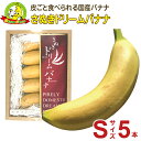 【収穫状況により発送日が異なります】【皮ごと 国産バナナ】さぬきドリームバナナ 皮ごと食べられる（Sサイズ 5本）（バラ）【美味しい 完熟 ドリームフルーツ】