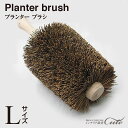 【期間限定特別価格】【ホウキ】プランター ブラシ(Lサイズ)103101 【タワシ プランター掃除 束子 たわし 天然素材 ガーデニングツール 簡単 きれい ク...
