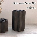 welms Star anis Vase (L) F04-0219yO[oA[ global arrow t[x[X ԕr ֑} ̓ ̓ hV̓ NX}X xmasz