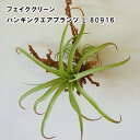 【POSHLIVING】ハンギングエアプランツ L 80916【グリーン フェイク オブジェ アーティフィシャルフラワー ブーケ リーフ お花 ギフト プレゼン...
