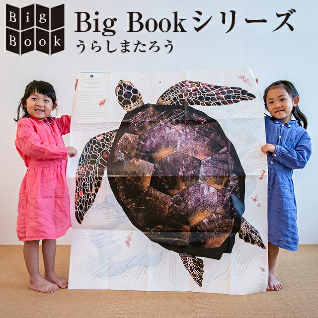 BIG BOOK うらしまたろう 藤本真央【キッズ 子供 送料込み 絵本 漫画 マンガ アート 耐水 青幻舎 クリスマス xmas】