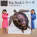 BIG BOOK うらしまたろう 藤本真央【キッズ 子供 送料込み 絵本 漫画 マンガ アート 耐水 青幻舎 クリスマス xmas】