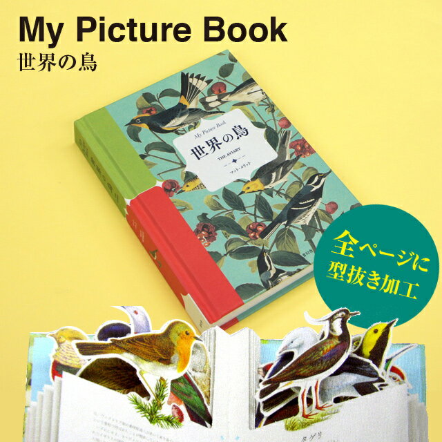 My Picture Book 世界の鳥（青幻舎 鳥 図鑑 本 プレゼント ギフト ブック キッズ 子供 型抜き クリスマス xmas）