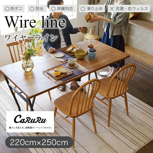 CaRuRu+ダイニングラグシリーズ ラグ ワイヤーライン wire line Lサイズ 220x250 スミノエ CaRuRu+ダイニングラグシリーズ ラグ ワイヤーライン wire line Lサイズ 220x250 スミノエ