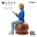 【erugam】腰にイイス 55cm 54145【バランスボール ブラウン トレーニング 腹筋 背筋 全身運動 フィットネス エクササイズ 体幹 筋肉 筋トレ エルガム SAKURAI サクライ貿易】