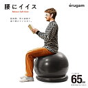 【erugam】腰にイイス 65cm 54146【バランスボール ブラック トレーニング 腹筋 背筋 全身運動 フィットネス エクササイズ 体幹 筋肉 筋トレ ...