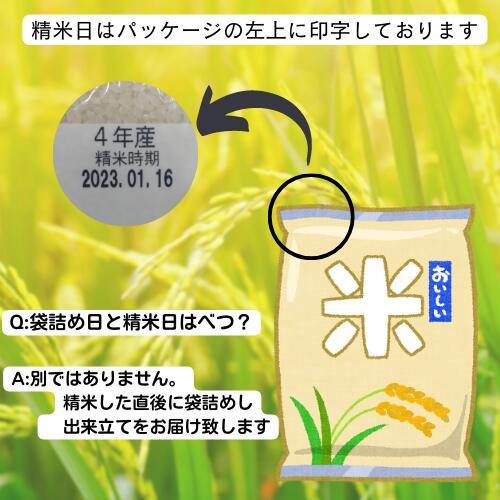 【クーポンで10%OFF】白米 米 10kg 送料無料 福島県産コシヒカリ 10kg(5kg×2袋) 令和5年産 【あす楽対応】米 お米 精米 米 10kg お米 10kg 銘柄米【沖縄・離島 別途送料+1100円】 3