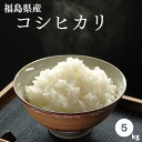 白米 米 5kg 送料無料 福島県産コシヒカリ 5kg(5kg×1袋) 令和5年産 【あす楽対応】【お試しサイズ】 米 お米 精米 米…