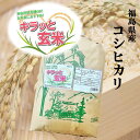 玄米 10kg 送料無料 福島県産コシヒカリ 10kg 10kg 1袋 令和5年産 【あす楽対応】【沖縄・離島 別途送料+1100】【キラッと玄米】米 お米 玄米 米 30kg お米 30kg 銘柄米