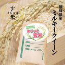 玄米 30kg 送料無料 福島県産ミルキ