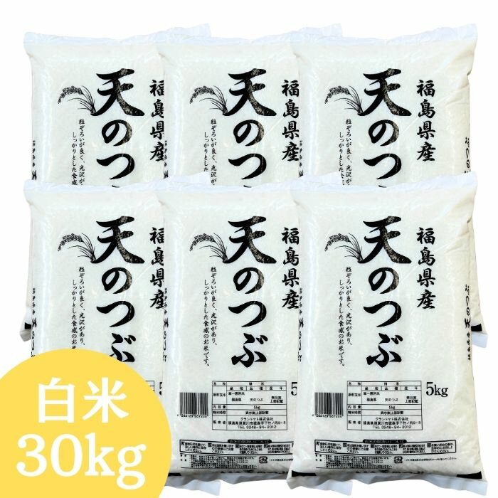 【新米】白米 米 30kg 送料無料 福島県産天のつぶ 30kg(5kg×6袋) 令和7年産 米 お米 精米 米 30kg お米 30kg 銘柄米【沖縄・離島 別途送料+1100円】【即日】