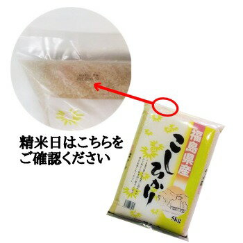 【※10%OFFクーポン対象商品※】 コシヒカリ 5kg 白米 5kg 福島県 令和元年産 お試しサイズ 送料無料