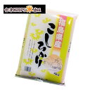 コシヒカリ 5kg 白米 5kg 福島県 令和二年産 お試しサイズ 送料無料