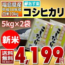 【クーポン使用で10%オフ】【新米】コシヒカリ 5kg×2袋 白米 10kg 福島県 30年産 送料無料 あす楽_土曜営業 【10月限定特価!】「ふくしまプライド。体感キャンペーン(お米)」