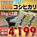 コシヒカリ 5kg×2袋 白米 10kg 福島県 29年産 送料無料 あす楽_土曜営業