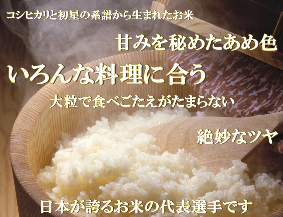 【楽天市場】ひとめぼれ 30kg キラッと玄米 福島県 28年産 調製済玄米 送料無料 あす楽_土曜営業：会津CROPS米直販・楽天市場店