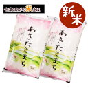 あきたこまち 白米 10kg(5kg×2) 令和元年産 送料...