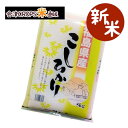 【旬食福来】【新米】 コシヒカリ 5kg 白米 5kg 福島県 令和元年産 お試しサイズ 送料無料