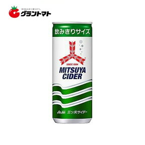 【60本送料無料】アサヒ 三ツ矢サイダー　(250ml×60本入)【ミツヤサイダー】【同梱不可】【送料無料】