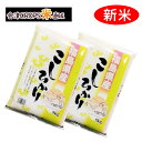 コシヒカリ 5kg×2袋 白米 10kg 福島県 令和二年産 送料無料 あす楽_土曜営業【大感謝祭】