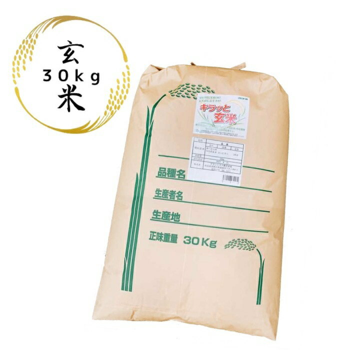 【お買い得価格】玄米 30kg 送料無料 お徳用ブレンド玄米 30kg(30kg×1袋) 国内産 【あす楽対応】【沖縄・離島 別途送料+1100円】【キラッと玄米】米 お米 玄米 米 30kg お米 30kg【ノークレーム商品】