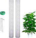 モンステラ モスポール クリア 植物サポート 透明 調節可能 苔ポール 苔ポール用 植物サポート2/4/6pcs