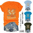 ハロウィン tシャツ レディース カボチャ パンプキン 幽霊 コスチューム コスプレ おもしろ 面白い 人気 仮装 かぼちゃ 衣装 半袖 丸首 大人用 トップス...