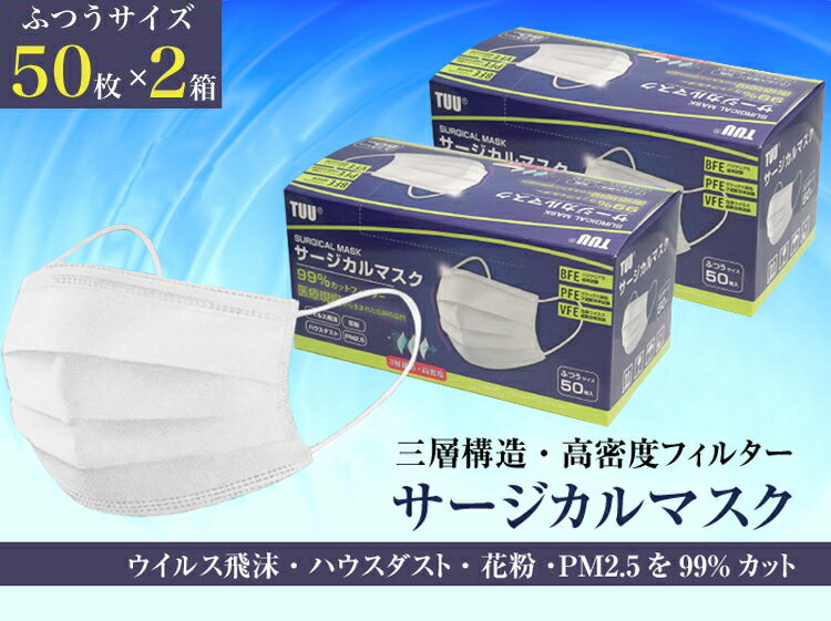 日本検査済合格品 マスク 50枚入 2箱 サージカルマスク 除菌スプレーおまけつき 白 ホワイト 100枚 プリーツ プリーツマスク ふつうサイズ 大人用 使い捨てマスク 使い捨て ノーズワイヤー 花粉症 ほこり PM2.5 ウイルス 立体 使い捨て プリーツ 在庫あり 即納 送料無料