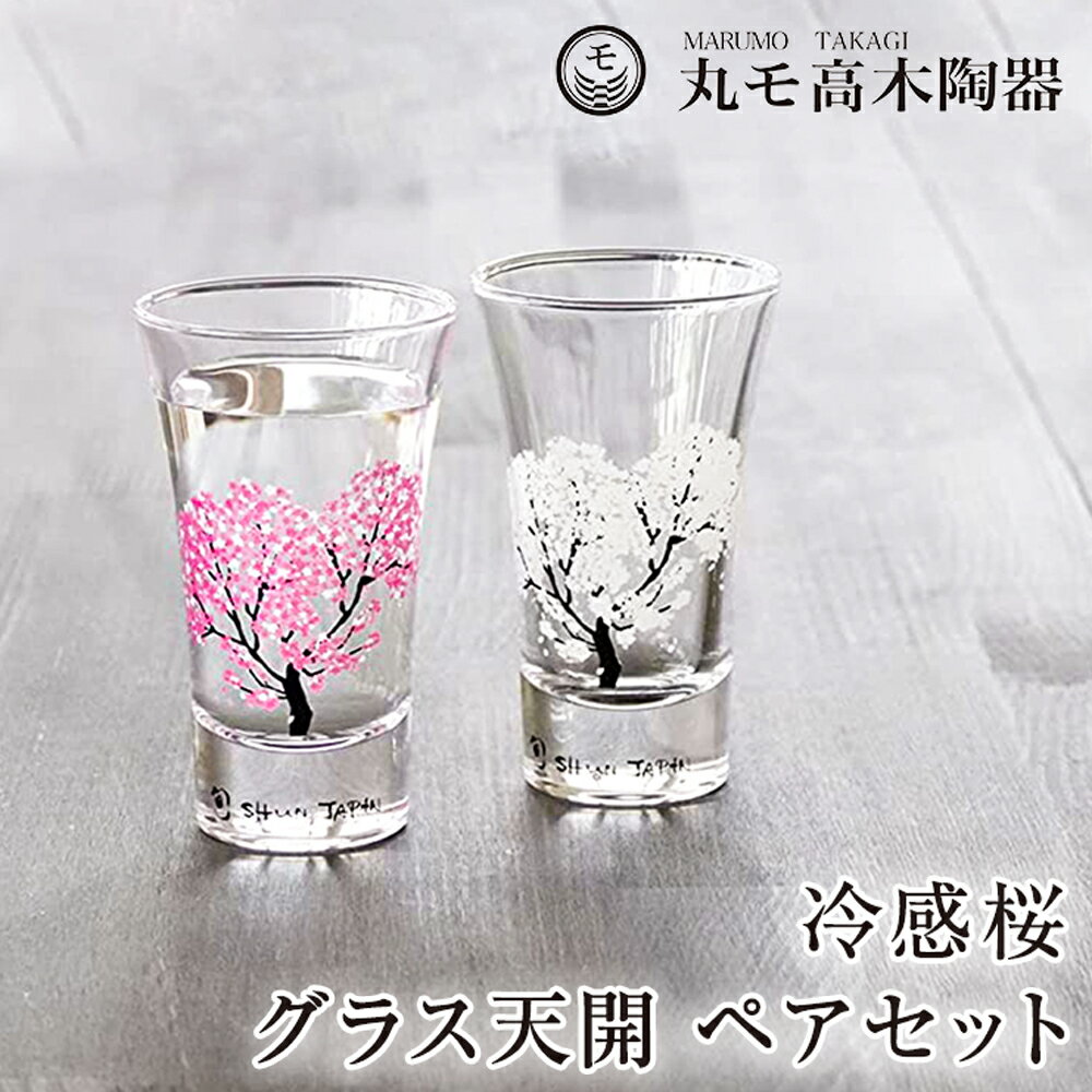 丸モ高木陶器 冷感桜 グラス天開 ペアセット 冷酒グラス 酒器 さくら 花見酒 贈り物 ギフト プレゼント