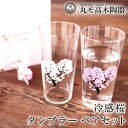 丸モ高木陶器 冷感桜 タンブラーグラス ペアセット 酒器 グラス さくら 花見酒 贈り物 ギフト プレゼント ペアグラス