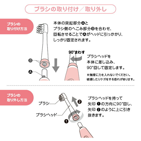 こども用LED付電動歯ブラシ　アオラ(AORA) キッズ用取替えブラシ　2本入り