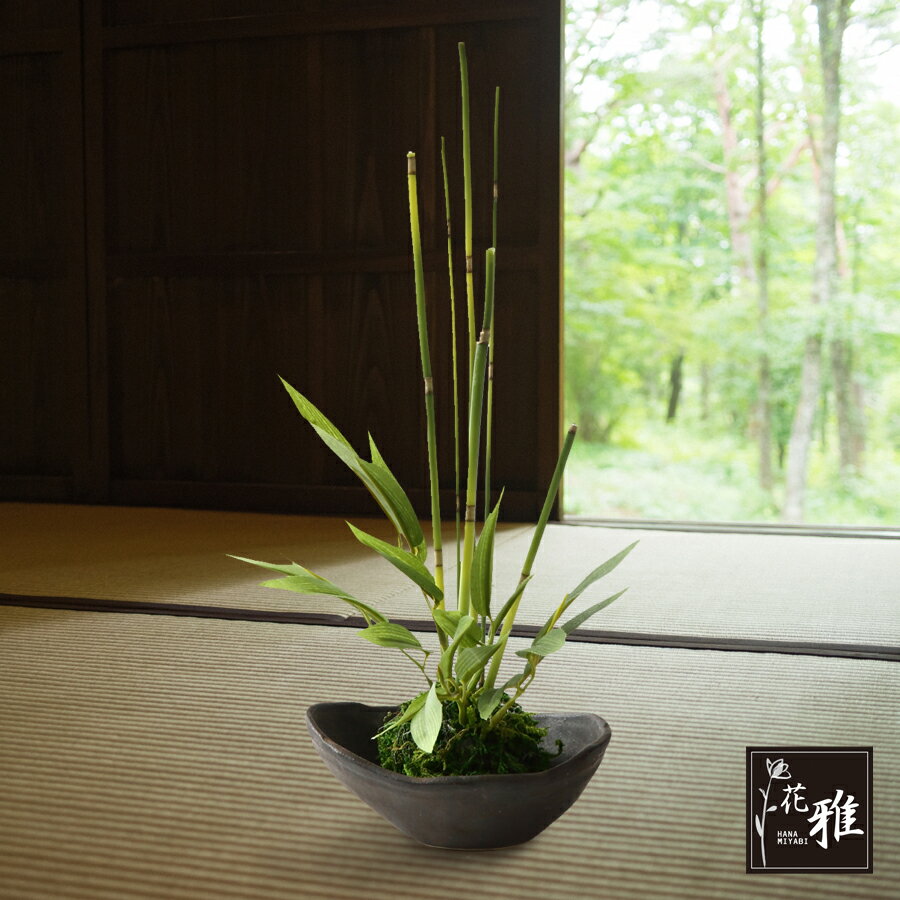 【花雅シリーズ】 造花 竹 苔玉 フェイクグリーン 28cm インテリア こけ玉 盆栽 和モダン 和風 モダン 陶器付き ギフト 高級感 プレゼント 贈り物 お土産 卓上 花 当店オリジナル 送料無料 アーティフィシャルフラワー ラッピング