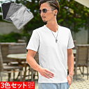 Tシャツ メンズ 半袖 Vネック テレコ 細身 スリム VネックTシャツ 半袖Tシャツ テレコTシャツ カットソー トップス インナー カジュアル ちょいワル ...