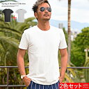 カットソー メンズ 半袖 しっかり テレコ ストライプ 細身 タイト イケオジ 夏 ファッション 2025新作【2色セット】【chset】