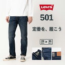 リーバイス リーバイス 501 【Levi's】 レギュラーストレート　005011485 ブランド ボトムス デニム パンツ ジーンズ ジーパン Gパン メンズ 男性 定番 人気 おしゃれ かっこいい LEVIS ボタンフライ 綿100％ コットン コーンミルズ社 ビッグE