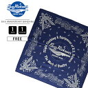 【クロネコゆうパケット可 送料290円】 バズリクソンズ バンダナ BUZZ RICKSON'S 30th ANNIVERSARY BANDANA ハンカチ BR02761 0908