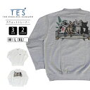 【送料無料】TES Tシャツ テス トレーナー TES 4BUHI RESORT SWEAT CREW NECK クルーネックスウェット 24374322 0112