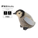 東京かんかん TOKYO KANKAN たわしアニマル ペンギン 置物 オブジェ 雑貨 M81-0712S 0419