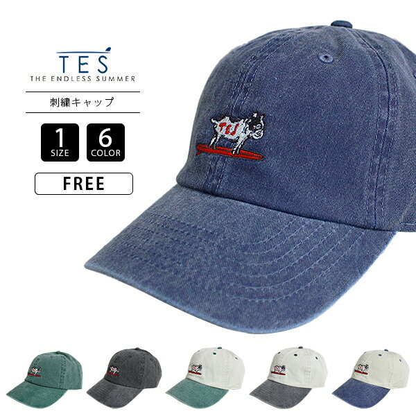 TESTheEndlessSummerƥȾµ˹ҥåPigCapɏLOWCAPåץĴĥХ˭٥ץ쥼Ȥˤ25774700