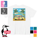 チャムス ペアTシャツ 【 CHUMS チャムス 】 Go to the Sea T-Shirt ゴートゥーザシー プリント S/S Tシャツ CH01-2174 / 半袖 丸首 クルーネック プリントt バックプリント メンズ レディース ユニセックス 23SUMMER/