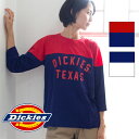 【Dickies ディッキーズ】ルーズフィット プリント 7...