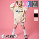 【 GALFY ガルフィー 】 