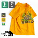 【 THE NORTH FACE ザ ノースフェイス 】 キッズ S/S Camp Luminous Tee キャンプ ルミナス S/S Tシャツ NTJ32264 / 半袖 ショートスリーブ 丸首 クルーネック 蓄光プリント アウトドア 子供 ボーイズ ガールズ ユニセックス 100cm 110cm 120cm 130cm 140cm 150cm 22SS/