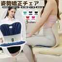 姿勢が良くなる 椅子 姿勢矯正 イス 姿勢サポートチェア 骨盤矯正 立てる 姿勢 よくなる 低反発 クッション 姿勢サポートシート 姿勢補正 猫背矯正 腰 肩こ...