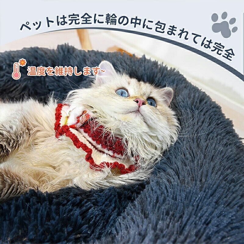 �ڥåȥ٥å� �ݷ� ������ �����륷������ ���襤�� ǭ ������ �淿�� �դ�դ� �դ��դ� �⤳�⤳ �դ��� �ڥåȥ��å���� �礭�� ������ �顼�� �٥å� �٥å� �ڥåȥ��ե��� �ڥåȥ٥å�